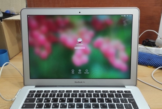   Macbook Air A1369